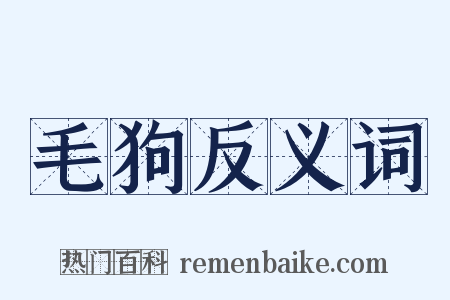 毛狗反义词是什么意思的图片